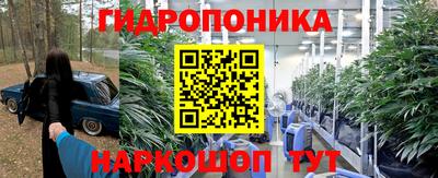амф Лесосибирск