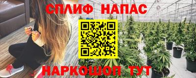 амф Лесосибирск