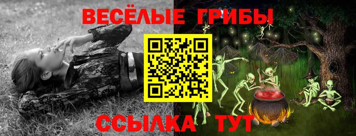 Псилоцибиновые грибы ЛСД  Вход с VPN  цены наркотик  Псилоцибиновые грибы Cubensis  Шахты 