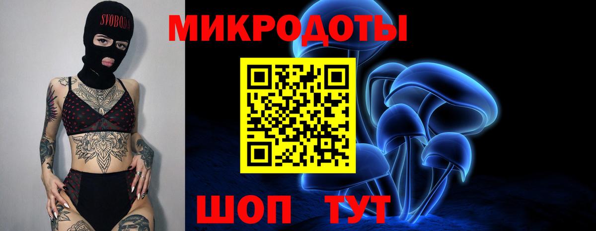Галлюциногенные грибы мицелий Шахты
